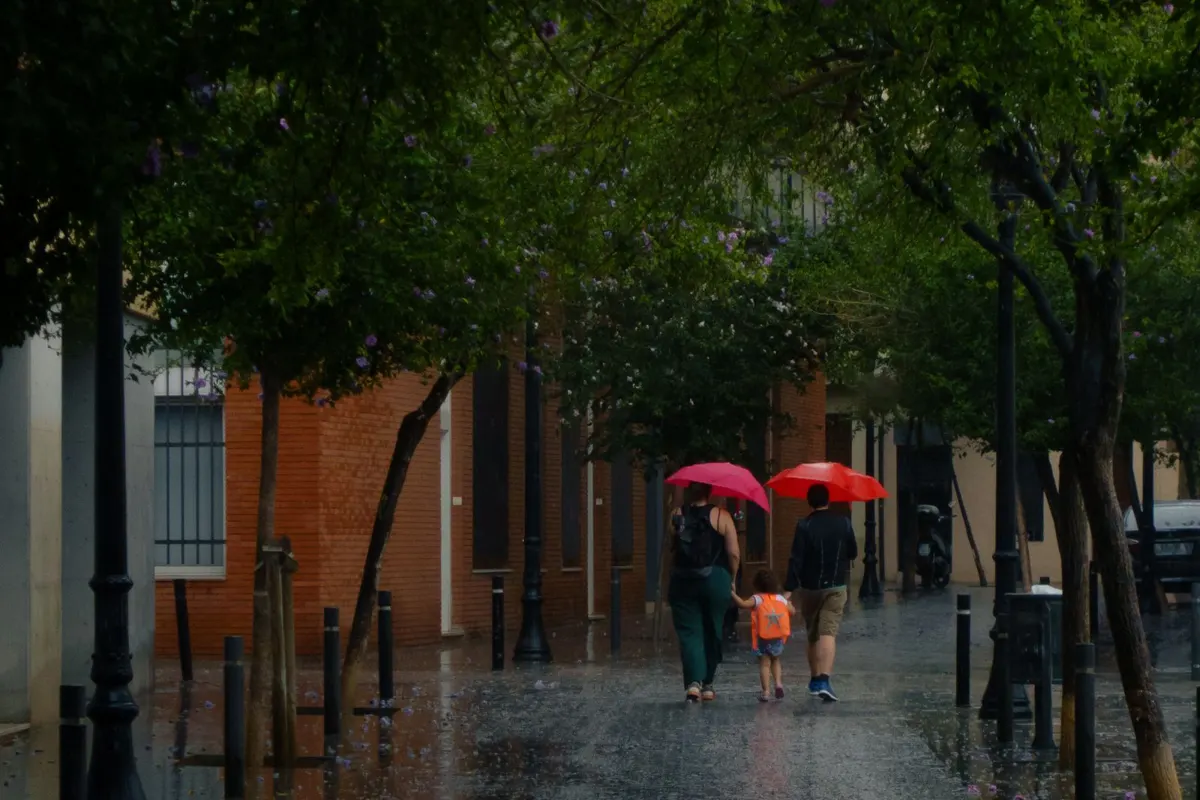 Family walking under umbrellas on a rainy day